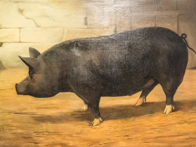 1828-Pierre Emile Auguste Veyssier - Porc Berkshire